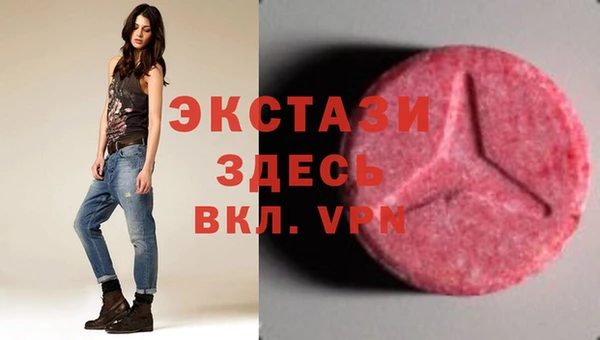 стаф Верея