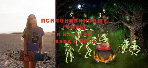 стаф Верея