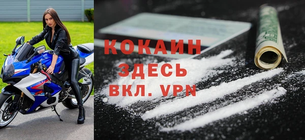 стаф Верея