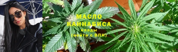 стаф Верея
