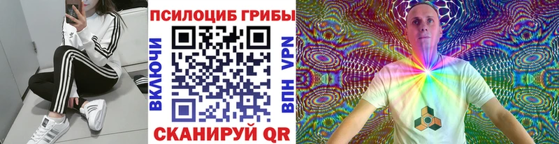 Галлюциногенные грибы мицелий  Кемерово 